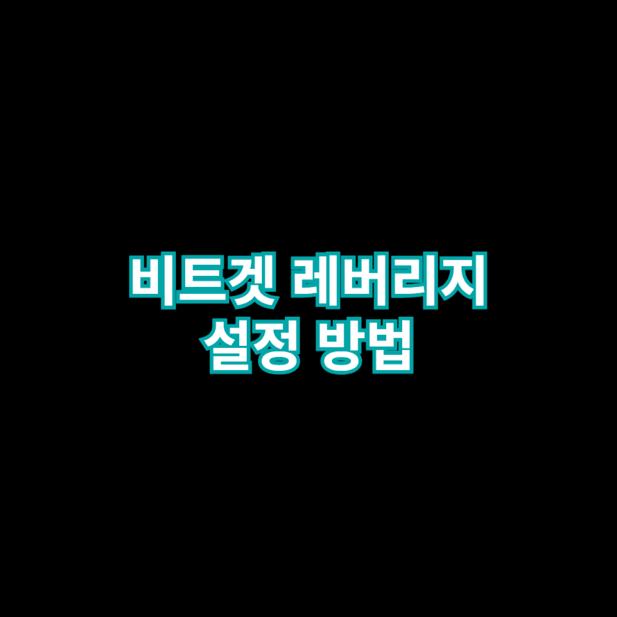 비트겟 레버리지 설정 방법