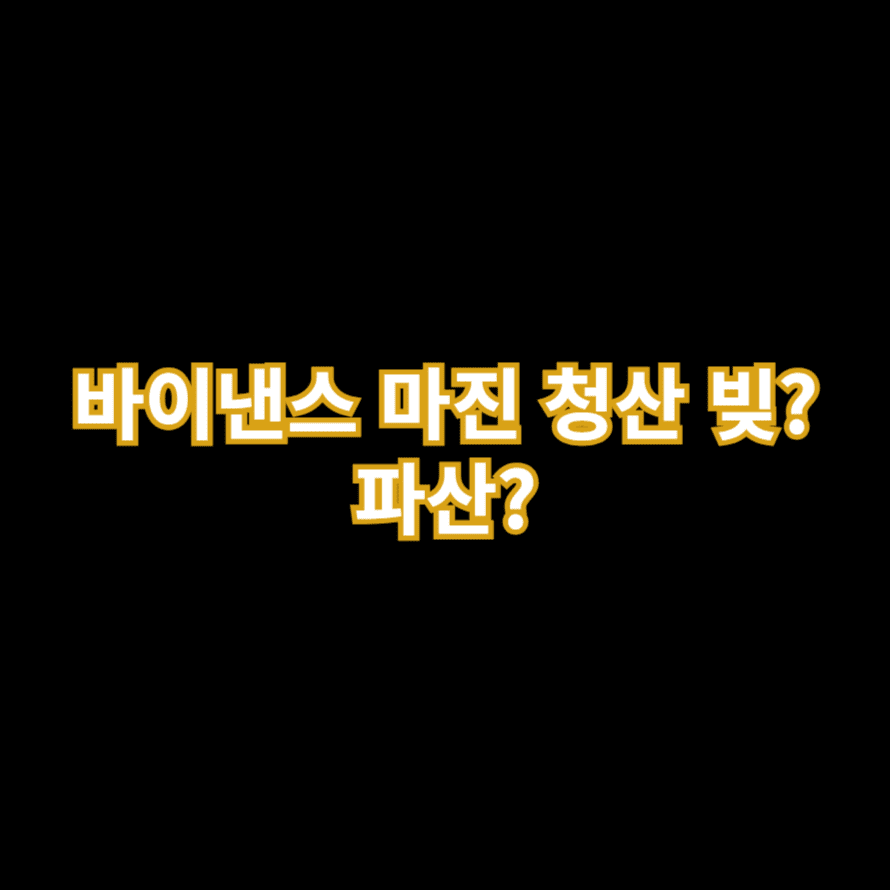 바이낸스 마진 청산 빚? 파산?