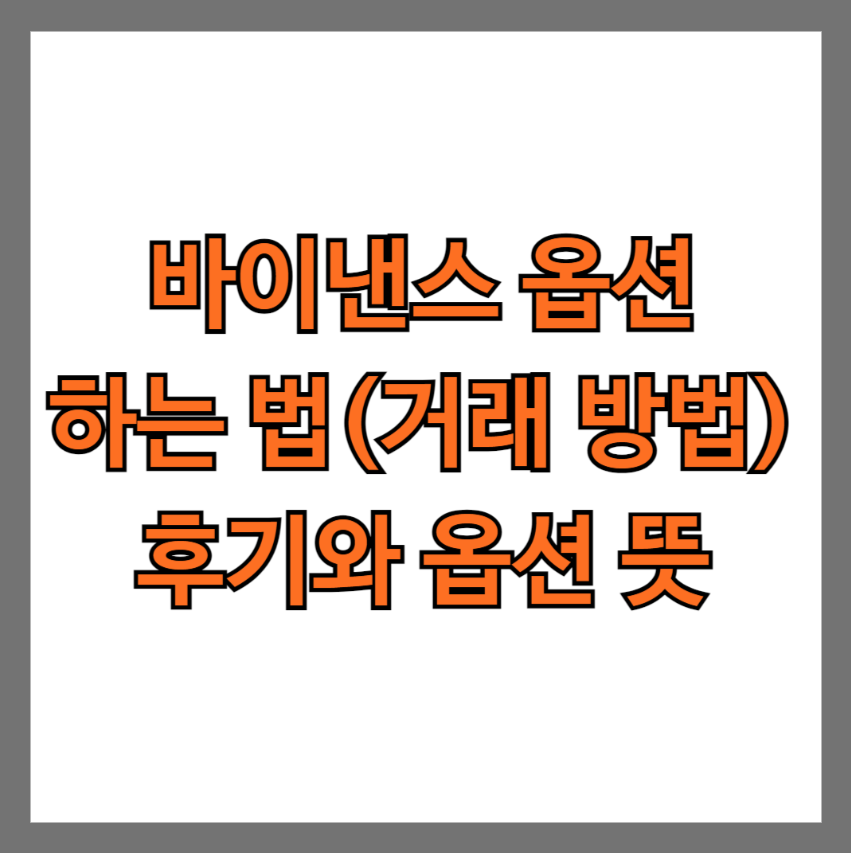 바이낸스 옵션 하는 법 거래 방법 후기와 옵션 뜻