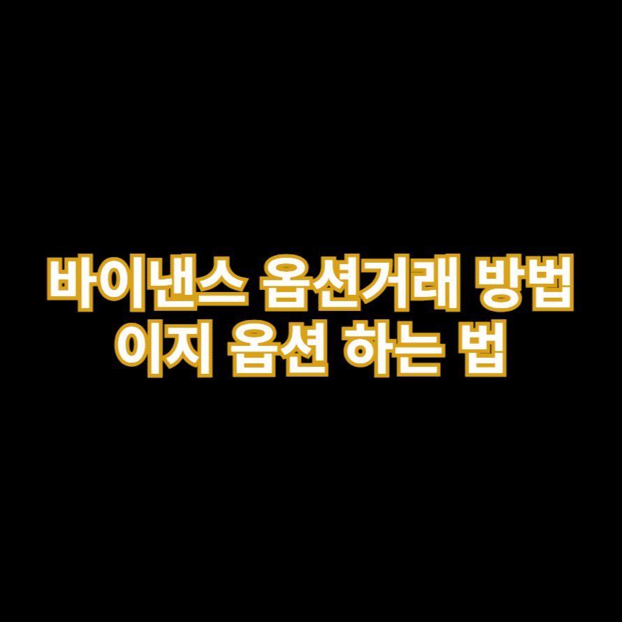 바이낸스 옵션거래 방법 이지 옵션 하는 법
