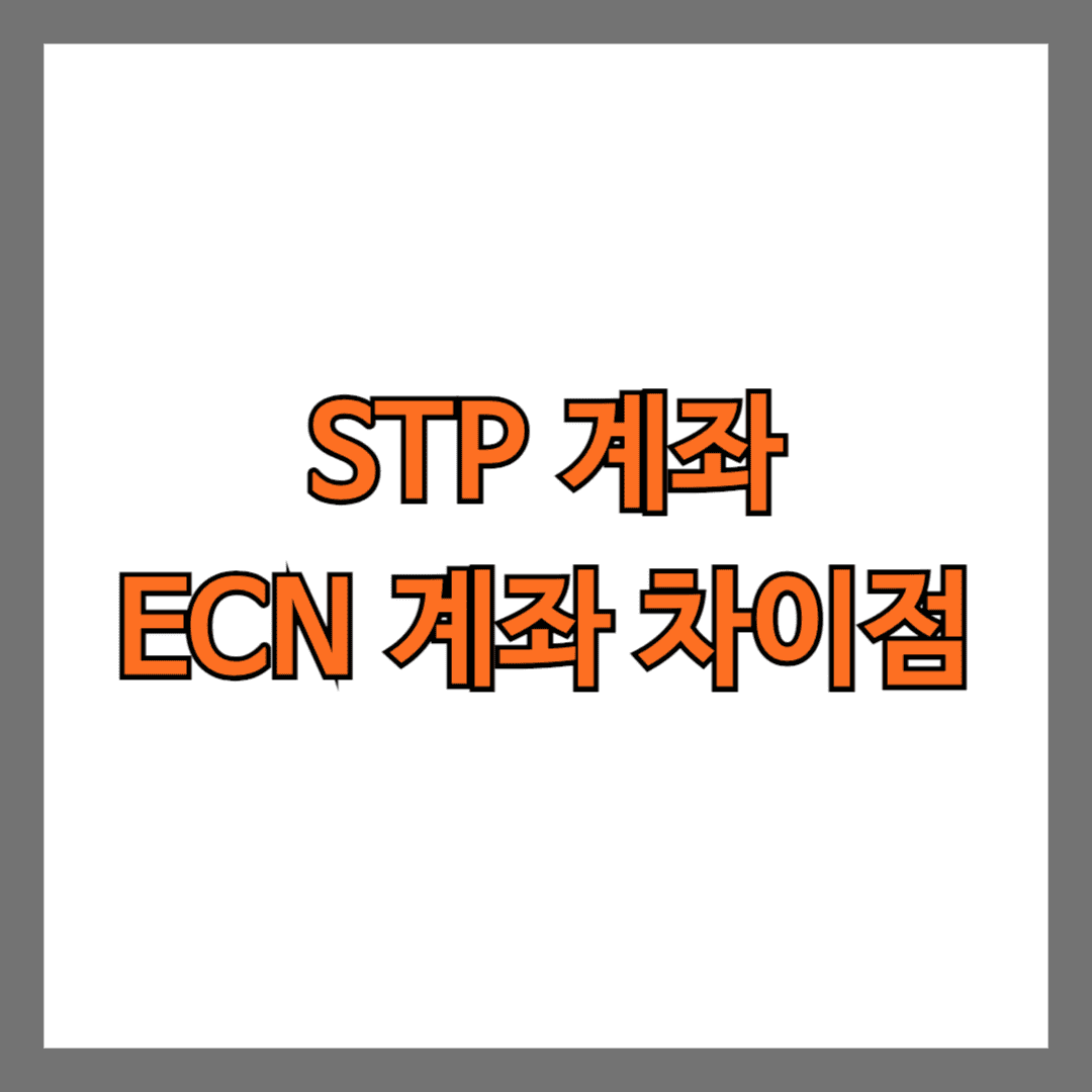 STP 계좌 ECN 계좌 차이점