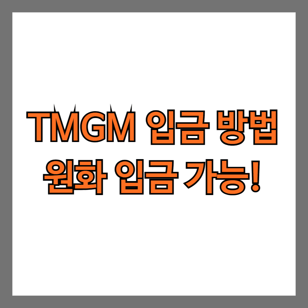 TMGM 입금 방법 원화 입금 가능!