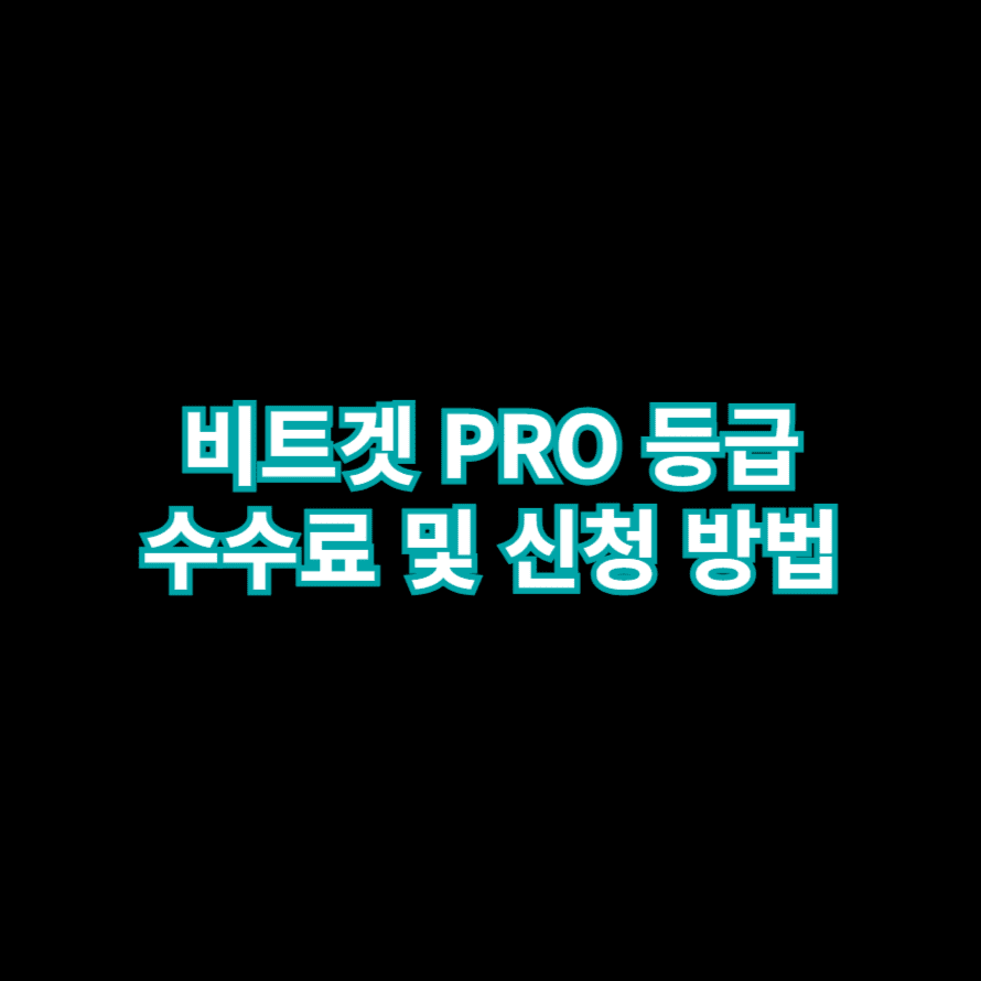 비트겟 PRO 등급 수수료 및 신청 방법