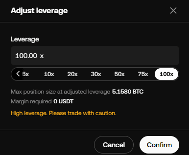 레버리지 설정 방법